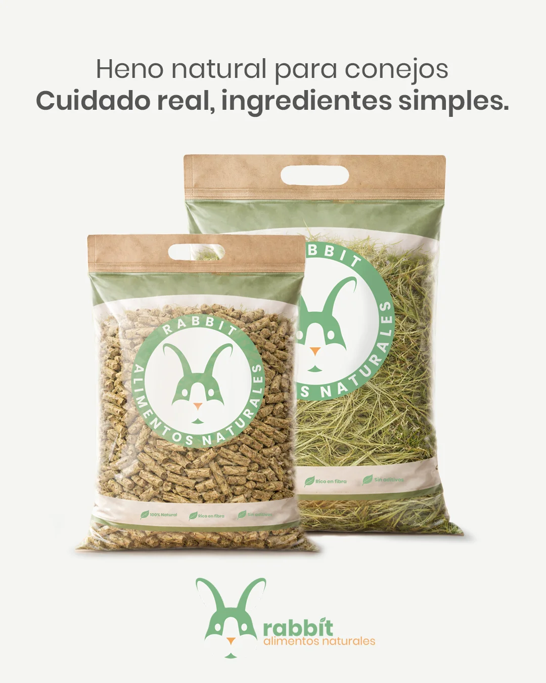 Branding completo · Rabbit