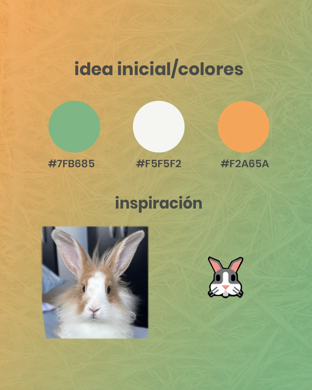 Proceso de Diseño Rabbit 2