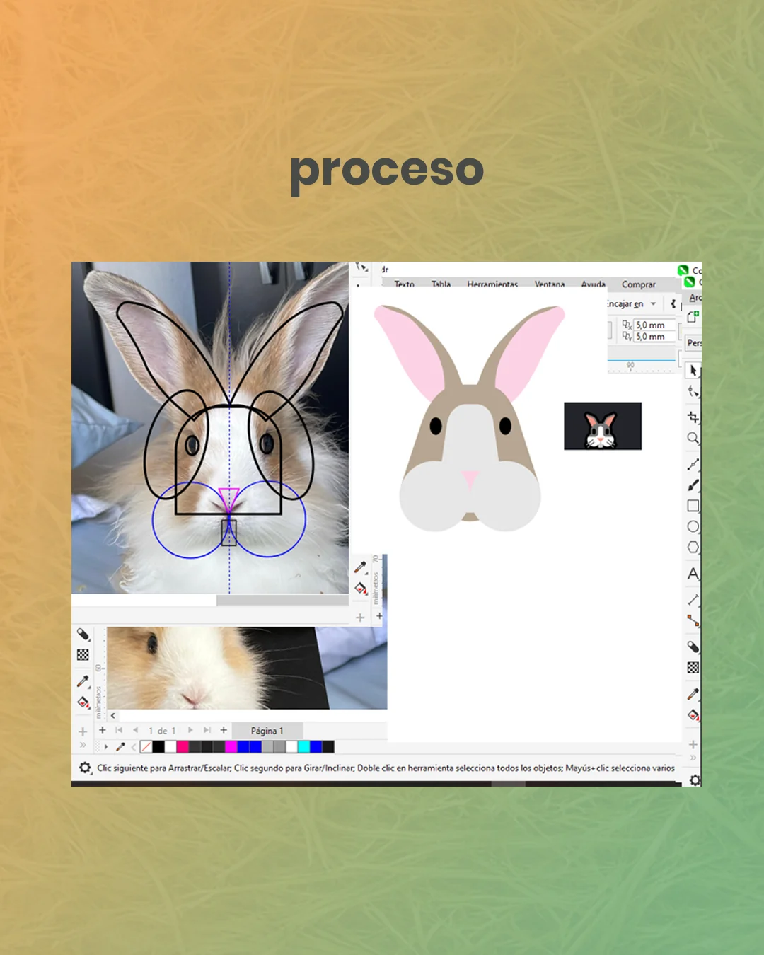 Proceso de Diseño Rabbit